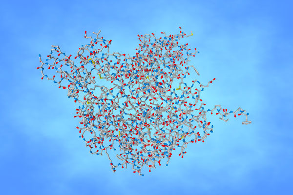 Structure moléculaire de l'hormone de croissance