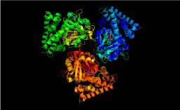 21-Hydroxylase