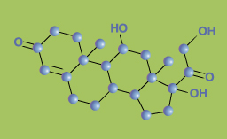 Molécule de cortisol