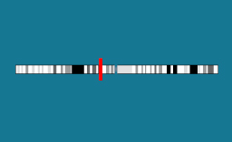 Gène RNPC3 sur le chromosome 1