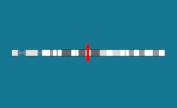 Gène USP8 sur le chromosome 15