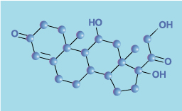 Molécule de cortisol