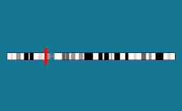 Gène GHR sur le chromosome 5