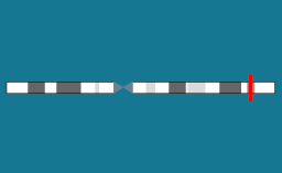 Gène GNAS sur le chromosome 20