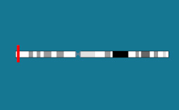 Gène IGFALS sur le chromosome 16