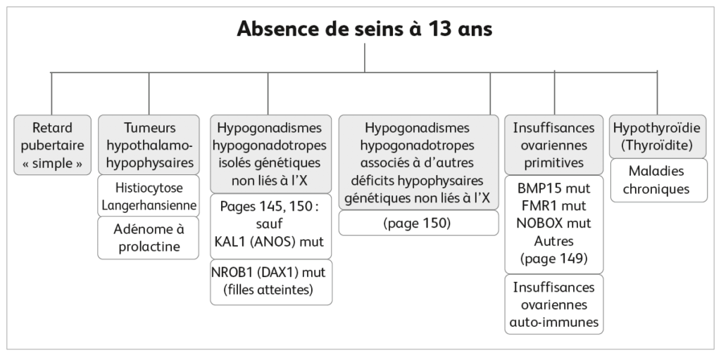 Absence de sein à 13 ans