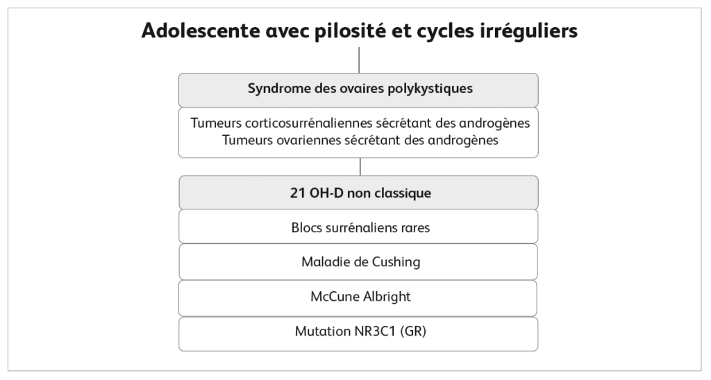 Adolescente avec pilosité et cycles réguliers