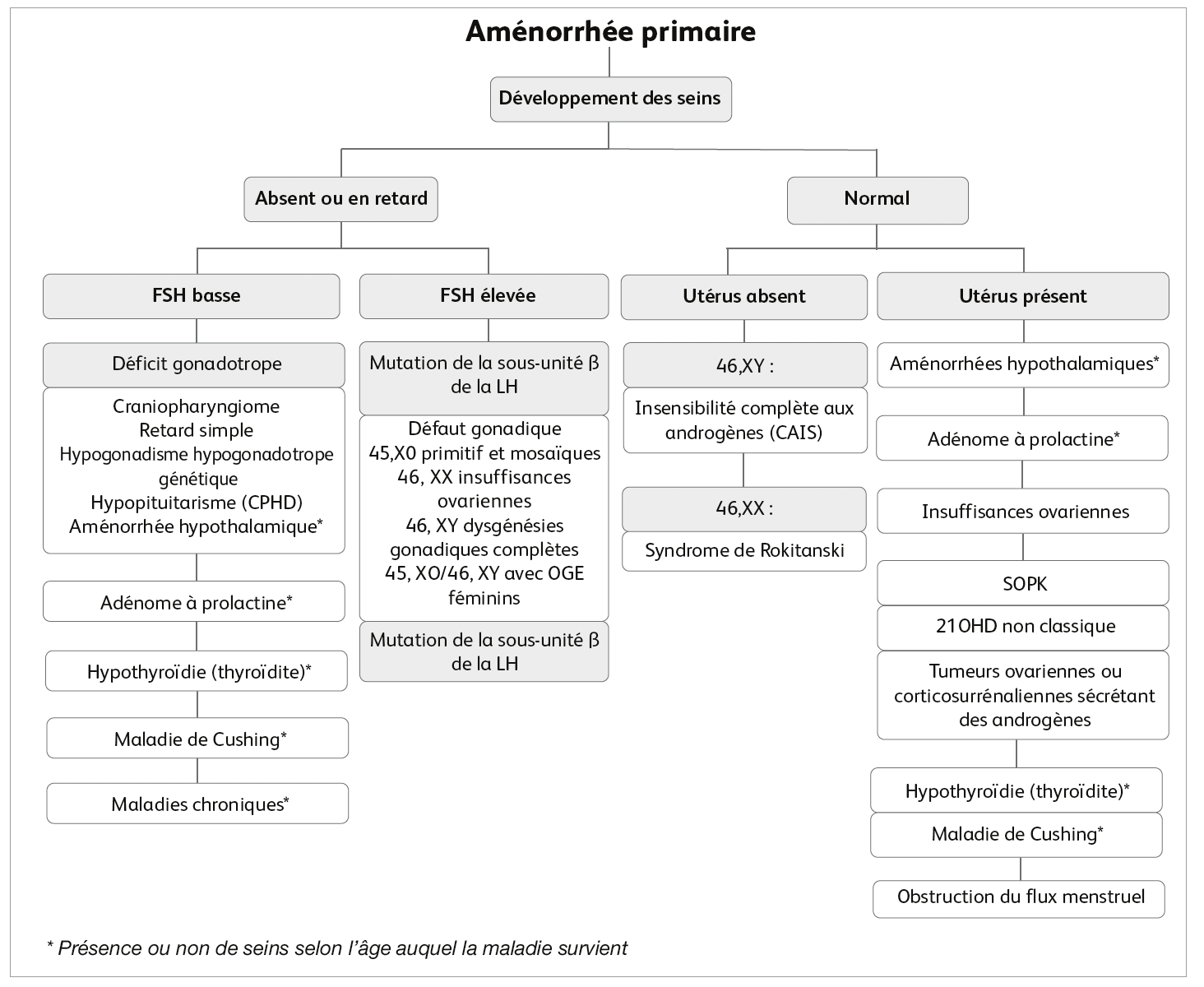 Aménorrhée primaire