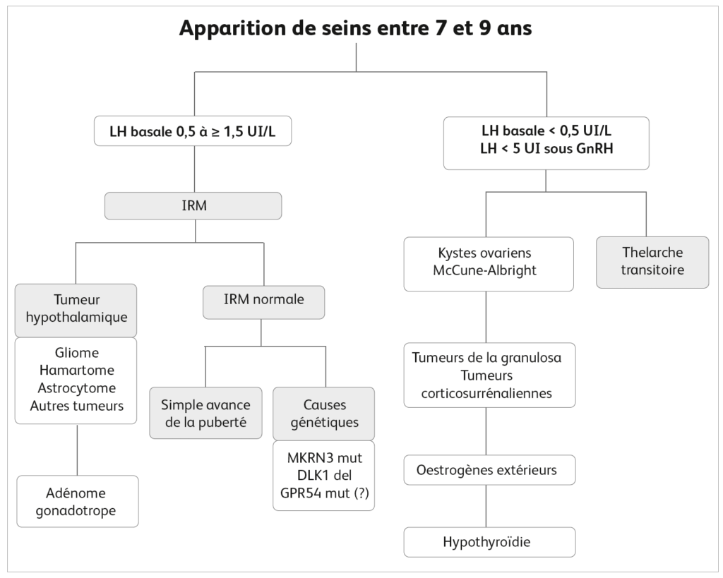 Apparition seins entre 7 et 9 ans