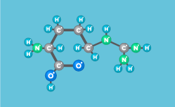 Molécule d'arginine