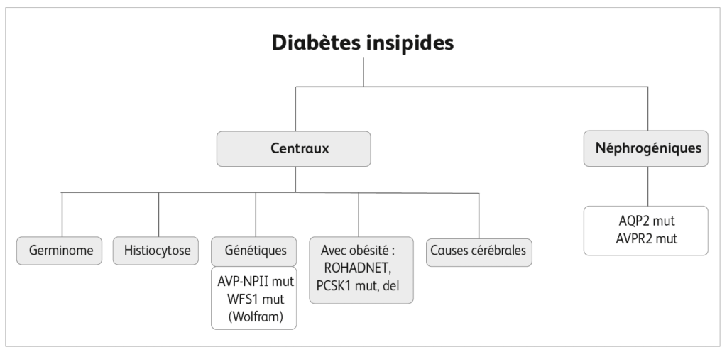 Diabète insipide