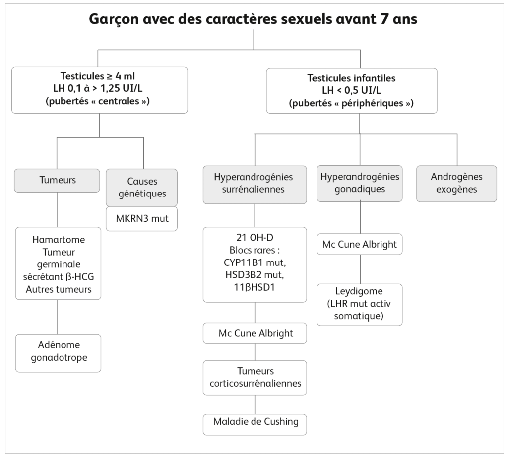 Garçon avec des caractères sexuels avant 7 ans