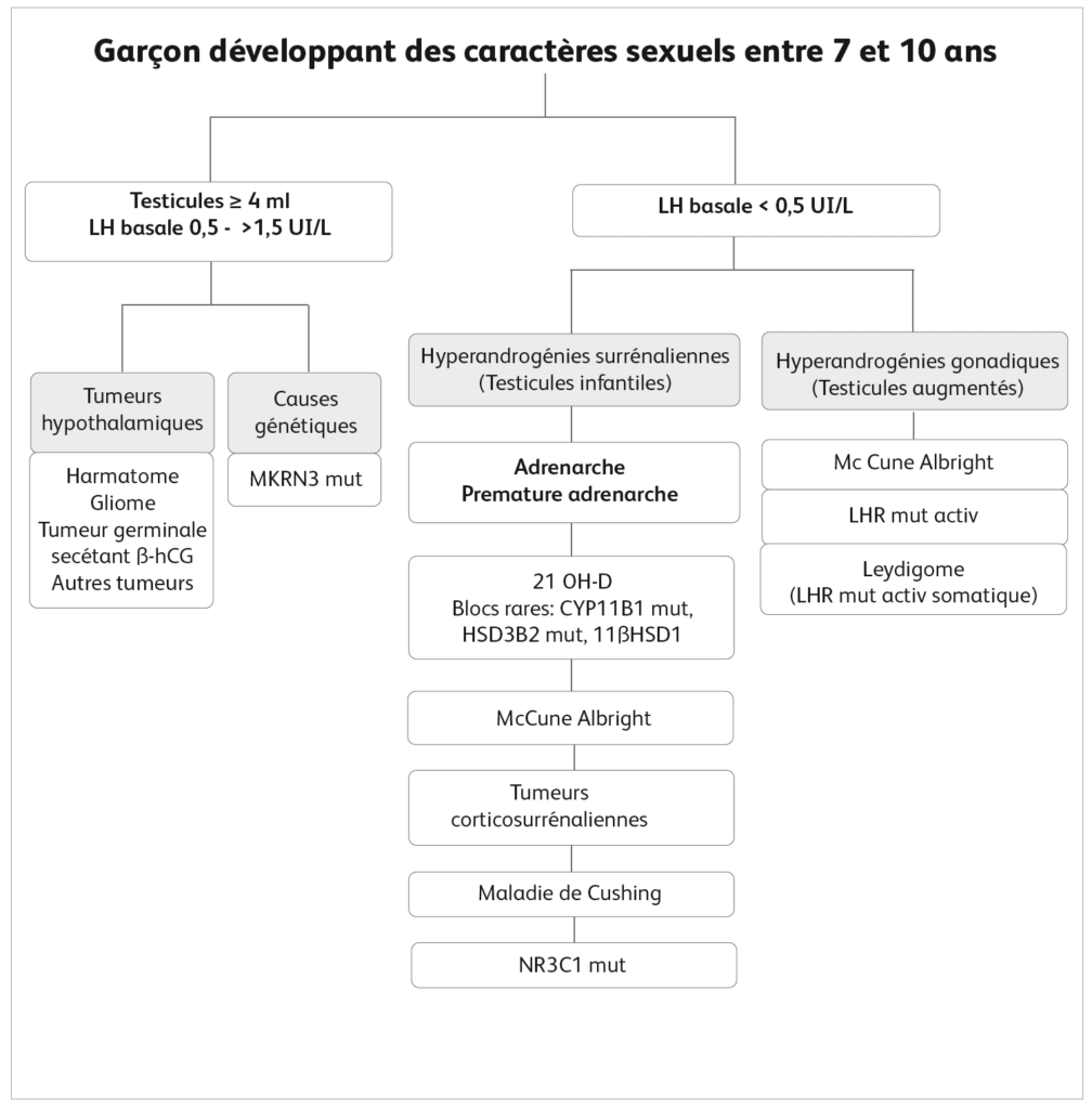 Garçon développant des caractères sexuels entre 7 et 10 ans