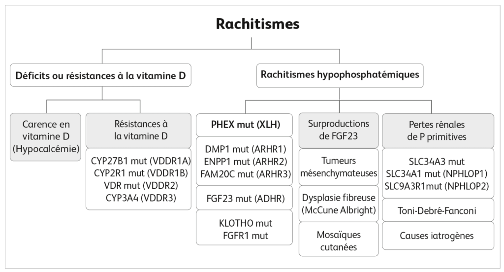 Rachitisme