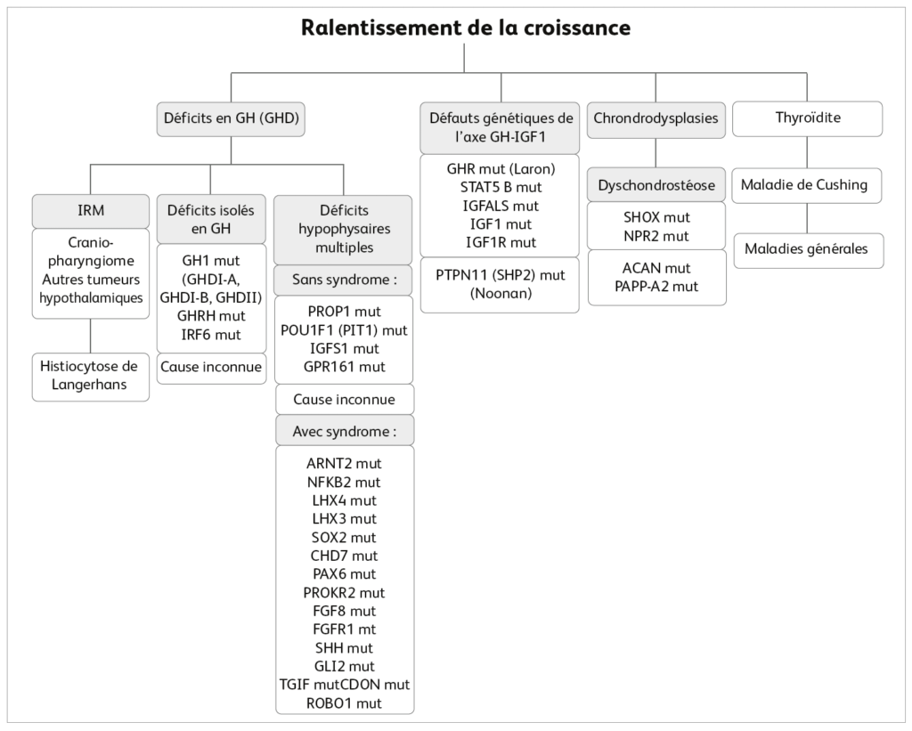 ralentissement de la croissance