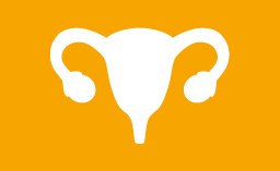 Uterus