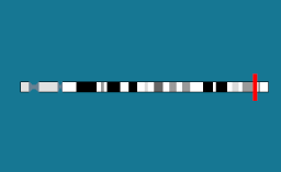 Gène DLK1 sur le chromosome 14